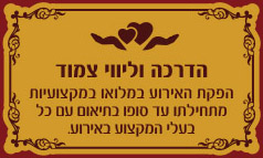 הדרכה וליווי צמוד